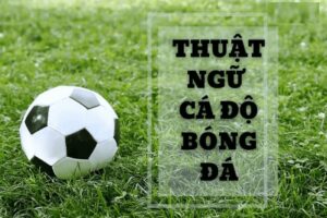 Thuật ngữ cá cược bóng đá