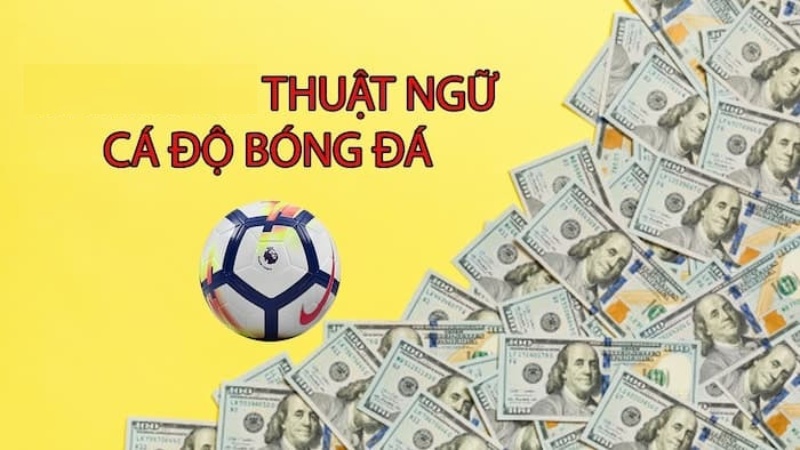 Thuật ngữ cá cược bóng đá trong kèo châu Âu